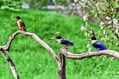 螃蟹射击游戏《Crab Champions》上架Steam 好评如潮