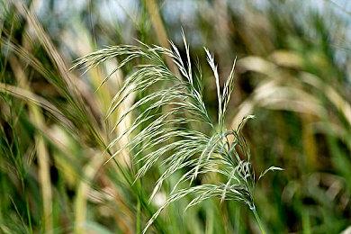 《重生边缘》参与东方游戏文化周，Steam开放demo试玩